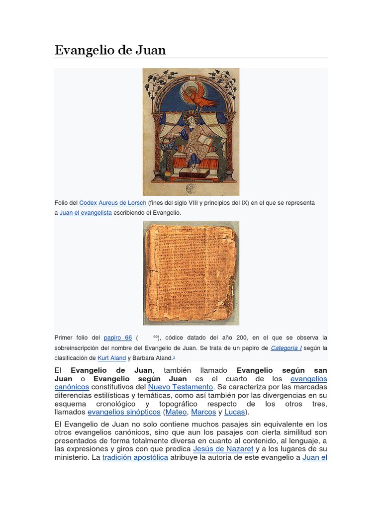 Reflexiones sobre el Evangelio de Juan | PDF | Evangelio de juan ...