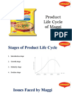 Maggi Product Life Cycle