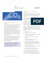 Arup Carbon Management PAS 2050 A Business Opportunity 29 Oct 09