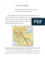 Essay Muksin Tomography