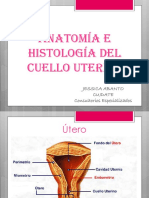 Anatomía e Histología Del Cuello Uterino (2)