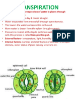 Transpiration: Stomata of The Leaves