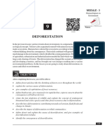 Deforestation's Impact on Environment and Communities