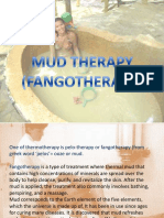 mudtherapy-120914095550-phpapp02