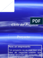 Ciclo de Vida de Proyectos