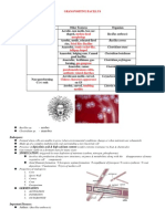 10 Bacillus & Clostridium