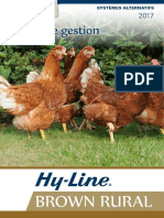 Hy Line Brown Rural Guide FR3