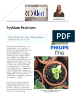 Overwatering - Pyhtium Root Rot