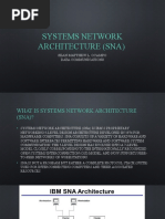 Systems Network Architecture (SNA)