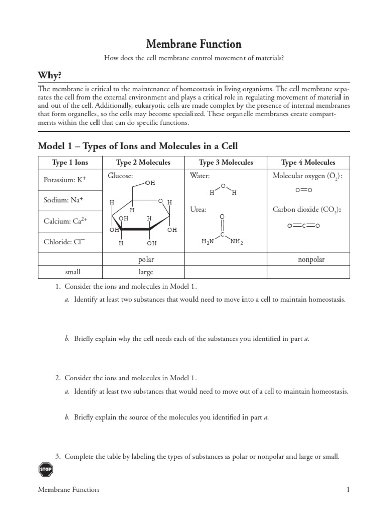 5-membrane-function-s-pdf-cell-membrane-cell-biology