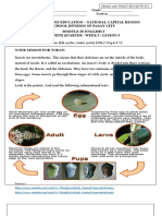 En3Lc-Ivg-H-3.7.5: Module Code: Pasay-En3-Q4-W5-D3