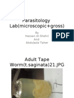 3rd Year Medicine Parasitology Lab