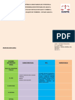 Cuadro Comparativo