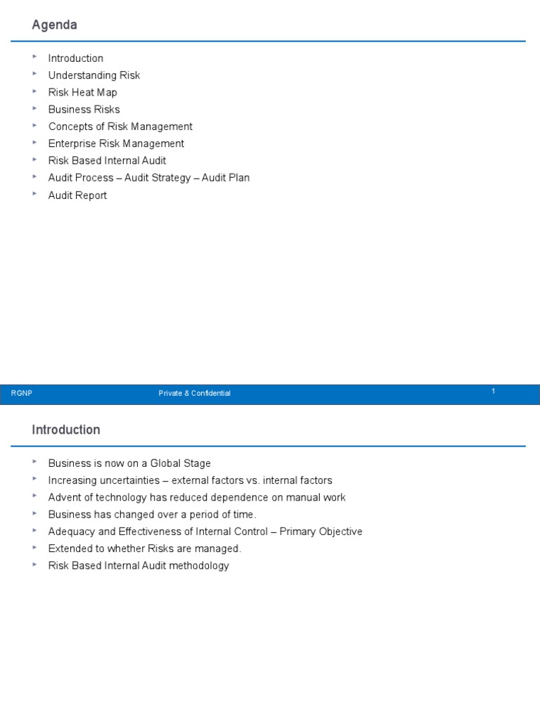Risk-Based Internal Audit Overview | PDF | Internal Audit | Risk
