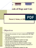 Breeds of Dogs and Cats: Floron C. Faries, Jr. DVM, MS