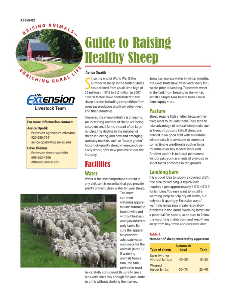 Guide To Raising Healthy Sheep: Facilities | PDF | Sheep | Animals And ...