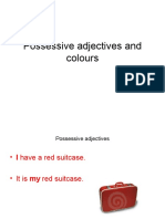 Possessive Adjectives and Colours