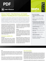 Download Netezza_TwinFin_Data_Sheet 4 by chootham SN51366854 doc pdf