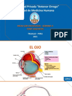 HISTOLOGIA