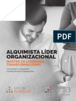 Máster en Liderazgo Transformacional: Alquimista® Líder Organizacional