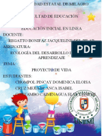 Proyecto de Viida