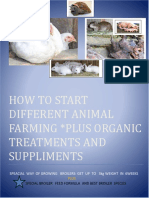 How To Start Different Animal Farming