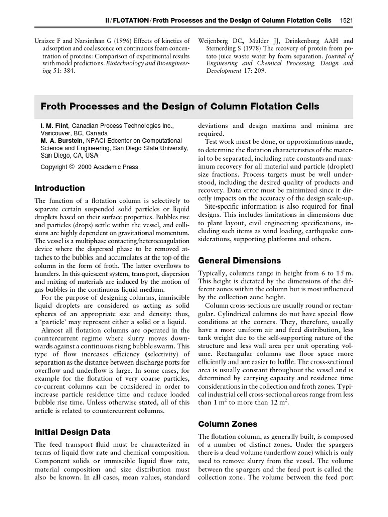 Froth Processes and The Design of Column Flotation Cells | PDF | Foam ...