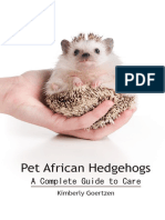 PetAfricanHedgehogs2-byKimberlyGoertzen