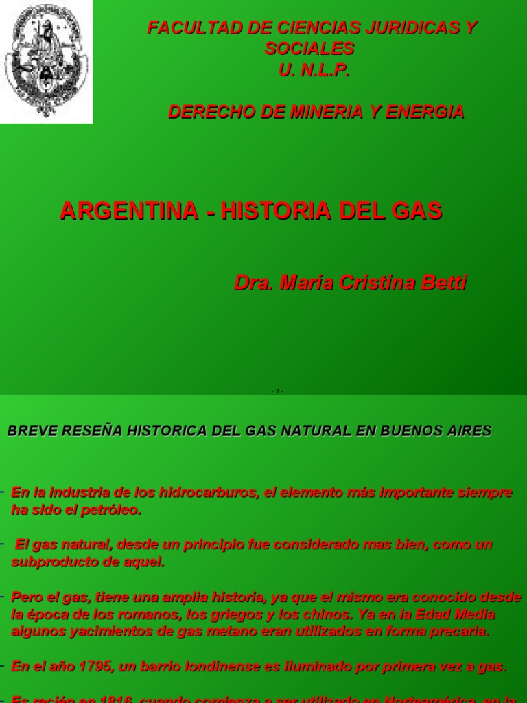 Historia del Gas Natural en Argentina | PDF | Gas natural | Buenos Aires