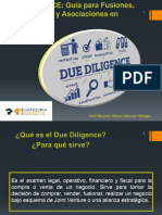 Guia Due Dilligence 2021 2