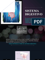 Sistema Digestivo Presentacion