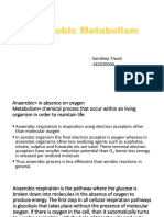 Anaerobic Metabolism