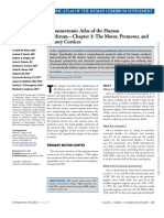 Chapter 3 - The Motor, Premotor, and Sensory Cortices