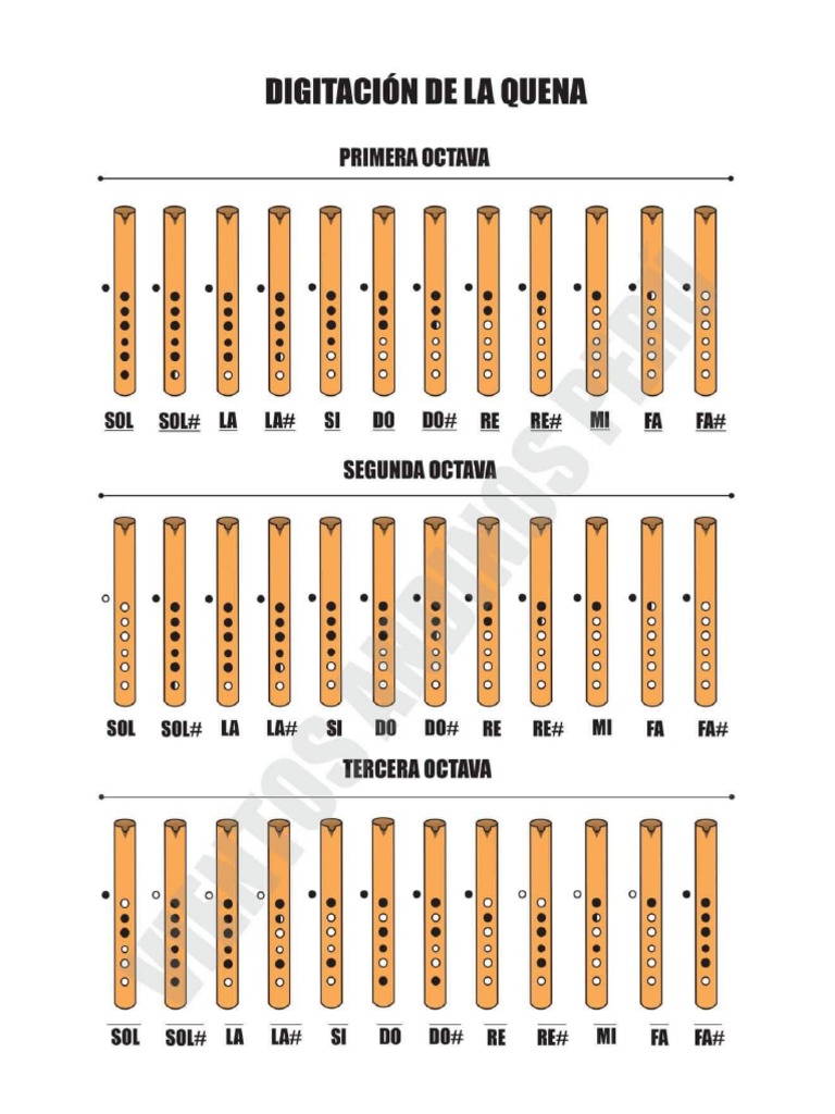 Notas Quena | PDF