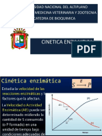 3.2 Cinetica Enzimatica