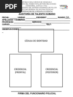 FORMATO DE AUDITORIA DE TALENTO HUMANO PARA