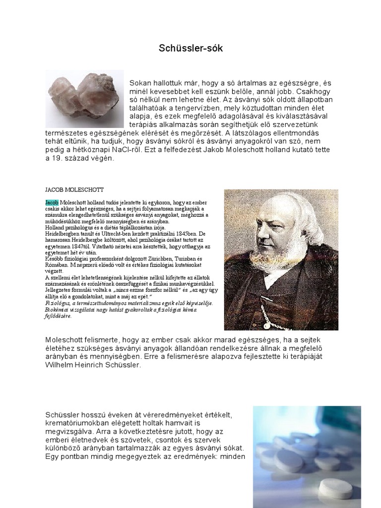 Schussler | PDF