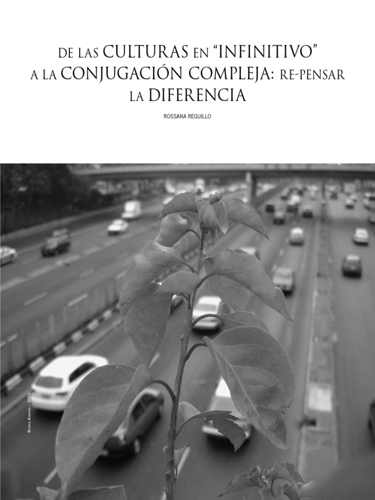 Repensar la Diferencia Cultural | PDF | Teoría | Sociedad