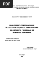 teza_rezumat