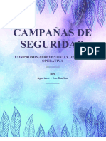 Campañas de Seguridad