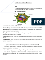 Ciencias Maikol