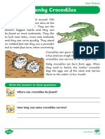 Level 8 Cranky Crocodiles 60-Second Reading Intervention
