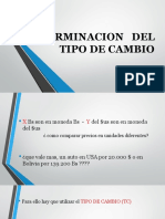 Tema 7 Determinacion Del Tipo de Cambio