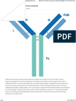 How To Select The Best Secondary Antibody - Biomol Blog - Resources - Biomol GMBH - Life Science Shop