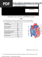 Ficha de avaliação5