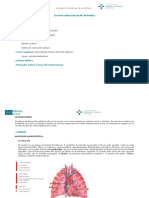 Sistema Cardiovascular