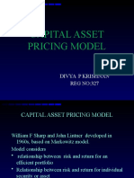 Capital Asset Pricing Model