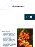 Biology Archaebacteria Eubacteria