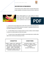 TRABAJO PRÁCTICO DEL SISTEMA NERVIOSO