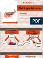 PSICOPROFILAXIS15 SESION 3